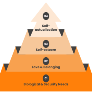 (adapted from Maslow, 1943)